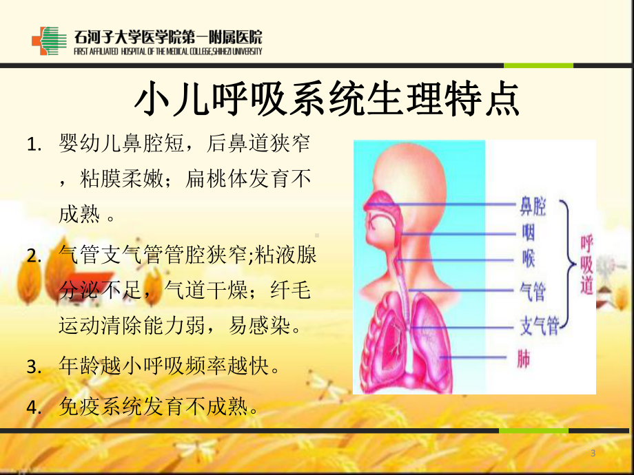 儿童呼吸系统疾病的护理和预防课件.ppt_第3页