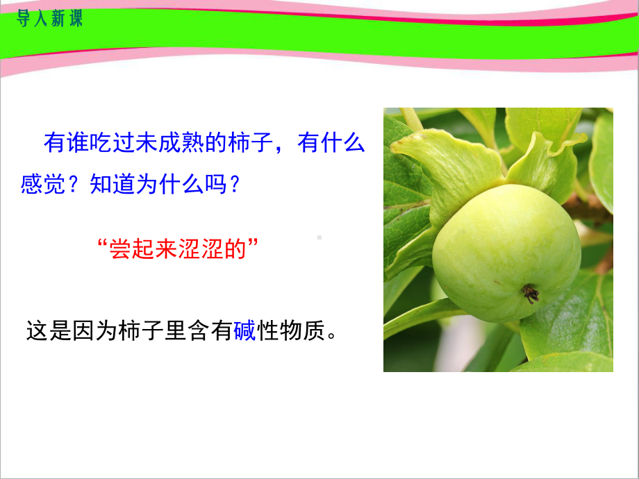 几种常见的碱-碱的化学性质课件.ppt_第2页