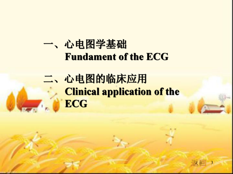 心电图学教学课件.ppt_第3页