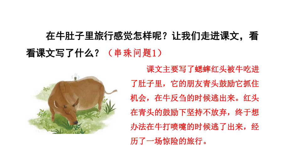 在牛肚子里旅行课件3.ppt_第3页