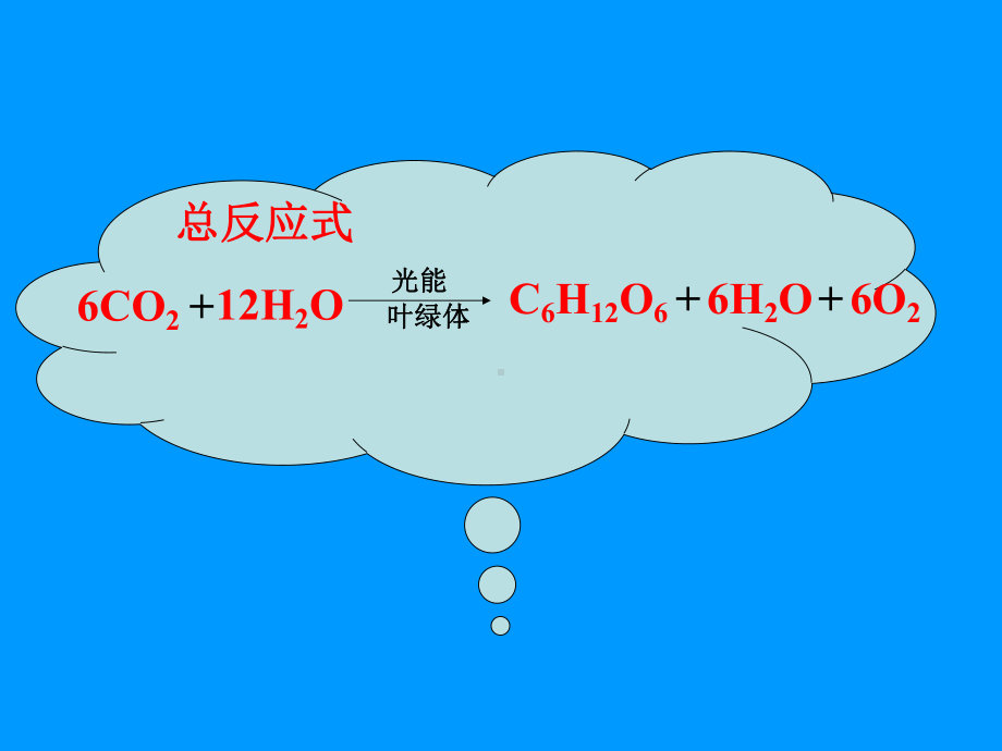 实验五探究环境因素对光合作用的影响-2课件.ppt_第3页