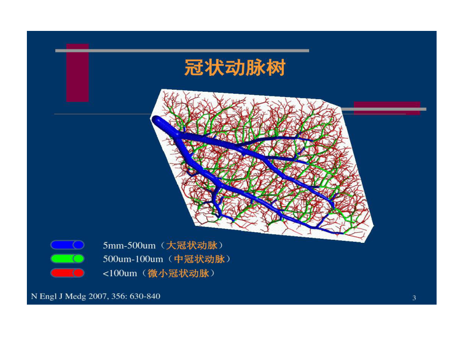 冠状动脉微血管病变及的对策共56张课件.ppt_第3页