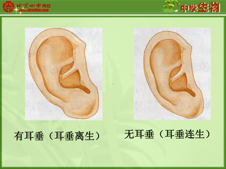 合作学校部教研内容课件.ppt_第2页