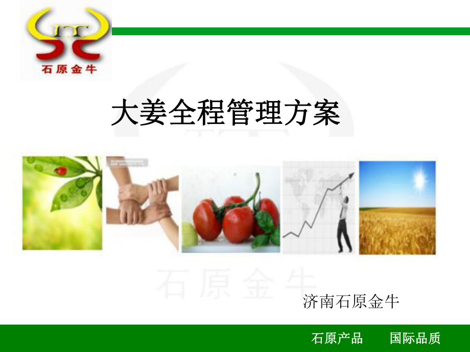 大姜全程管理方案说明课件.ppt_第1页