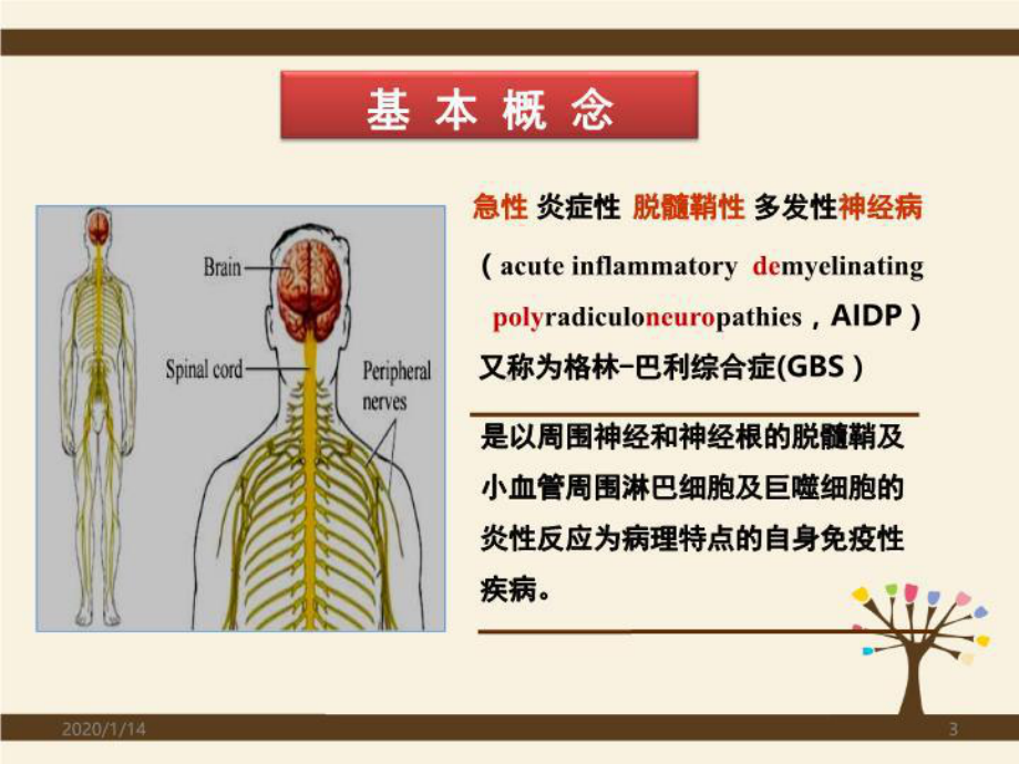 急性炎症性脱髓鞘性多发性神经病的护理查房23张课件.ppt_第3页