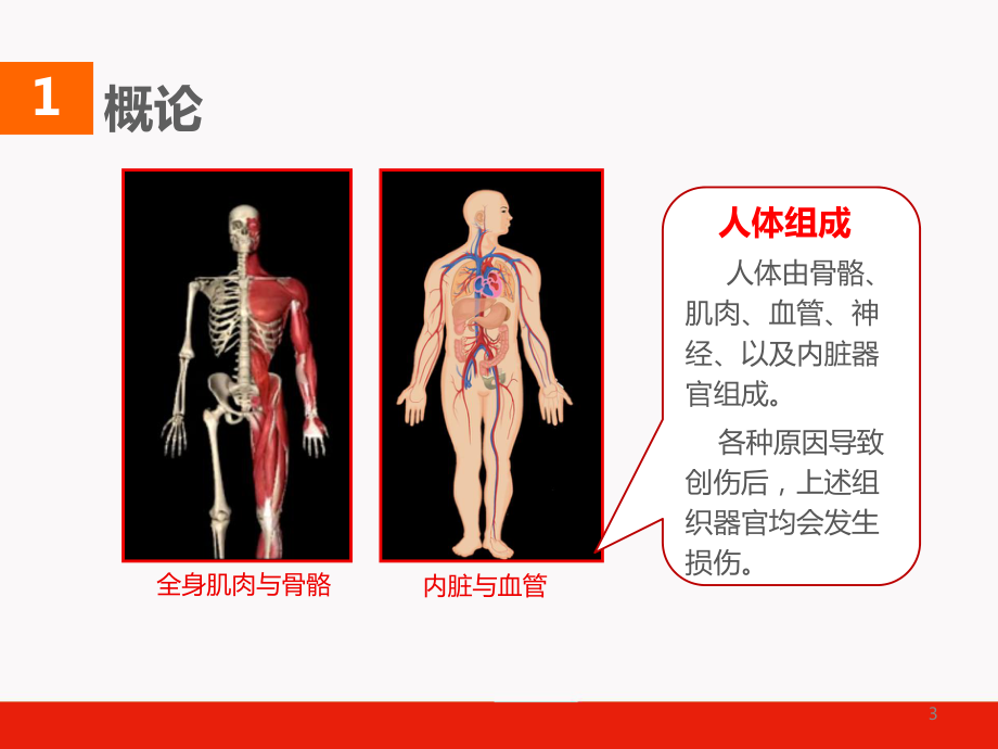 创伤救护(统一)课件.pptx_第3页