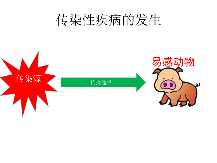 动物传染性疾病的免疫与预防课件.ppt_第2页