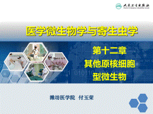 医学微生物学与寄生虫学课件.ppt