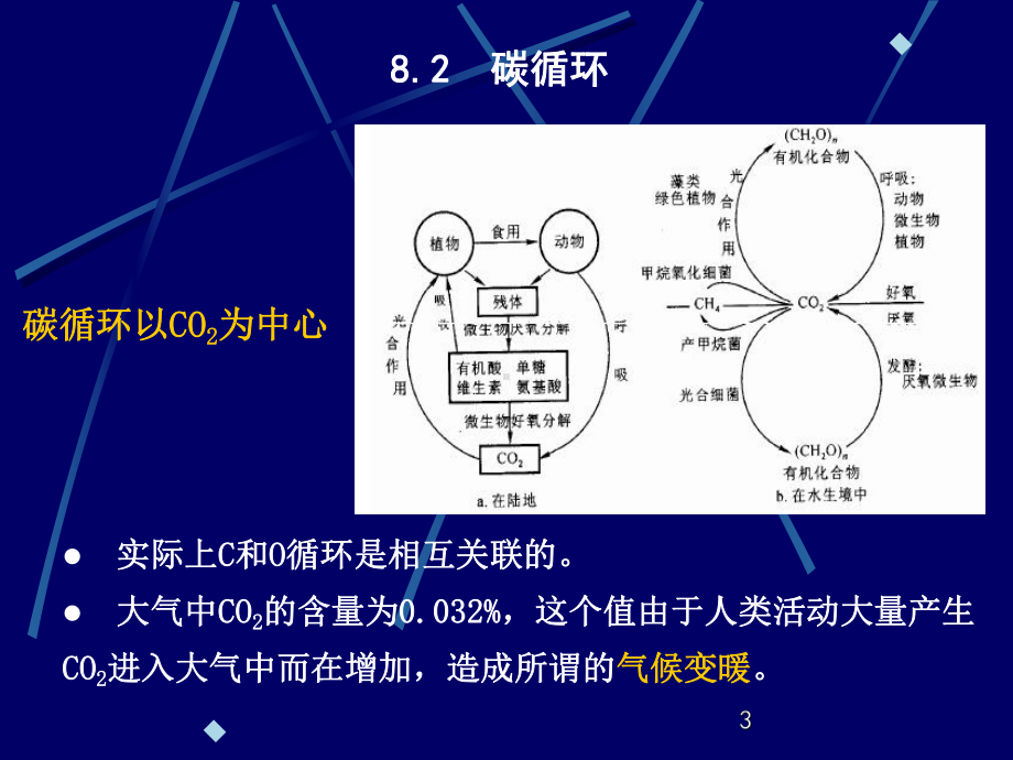 八章微生物在环境物质循环中的作用课件.ppt_第3页