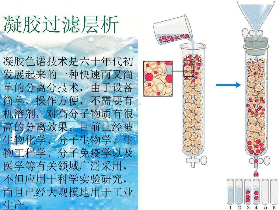 凝胶过滤层析2课件.ppt_第1页