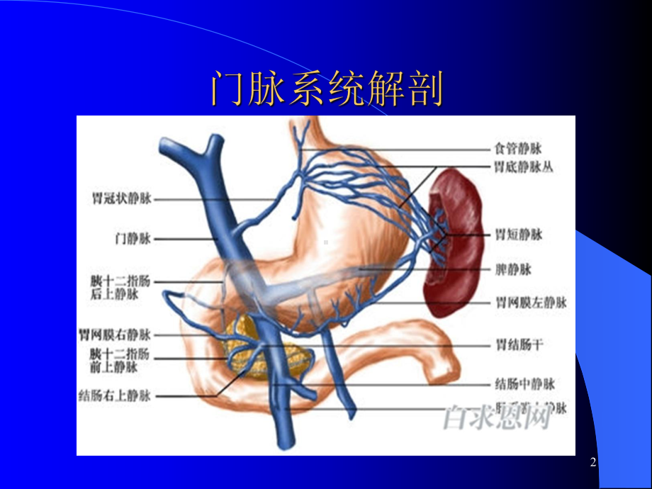 内镜下胃静脉曲张U型反转套扎术课件.ppt_第2页