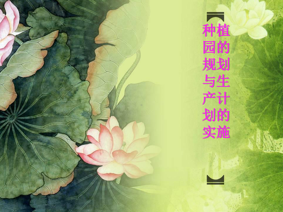 园艺植物种植园的规划与生产计划的实施(-60张)课件.ppt_第1页