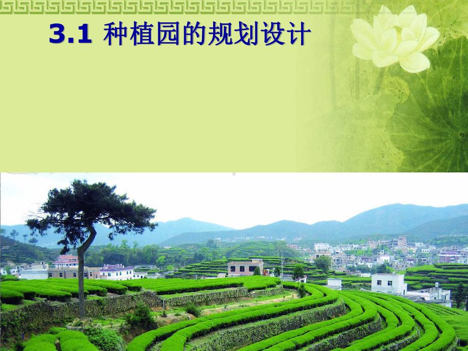 园艺植物种植园的规划与生产计划的实施(-60张)课件.ppt_第3页