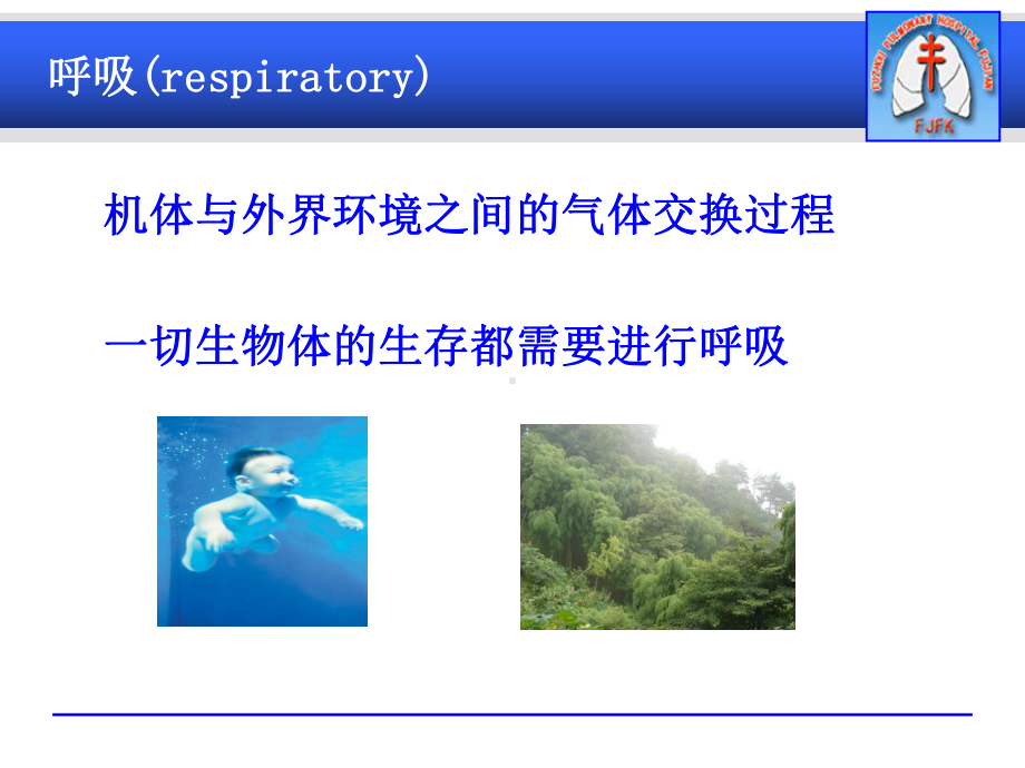 呼吸系统衰竭临床课程课件.ppt_第2页