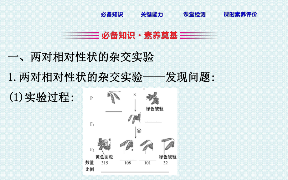 孟德尔的豌豆杂交实验二课件.pptx_第3页