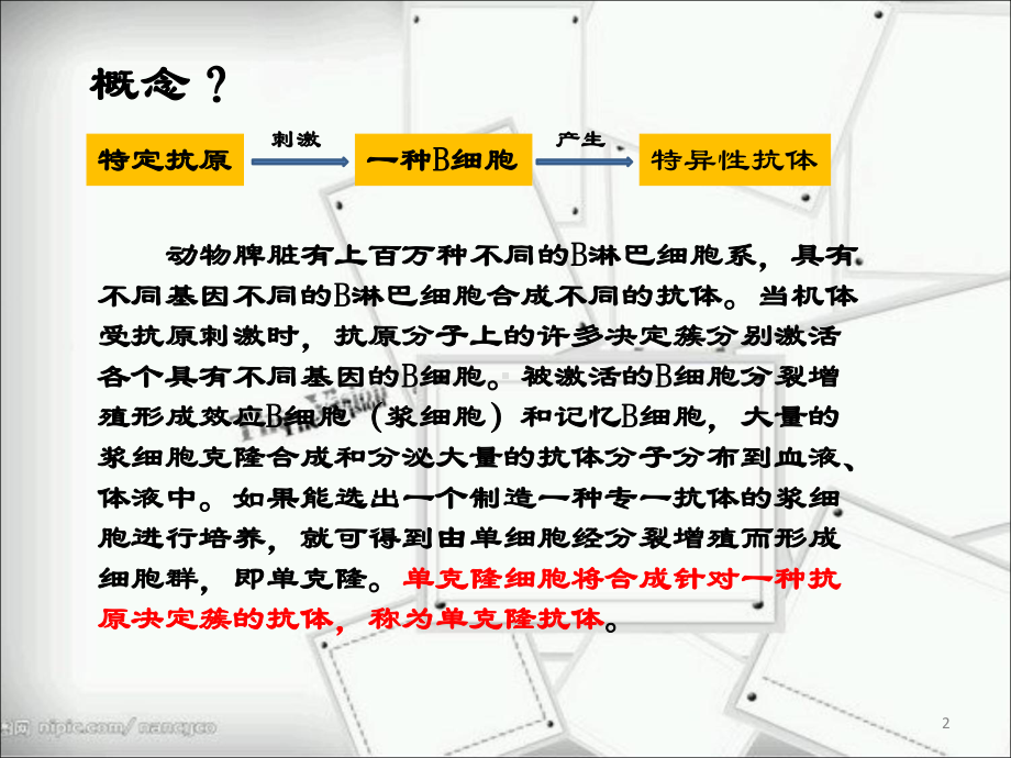 单克隆抗体的应用前景课件.pptx_第2页