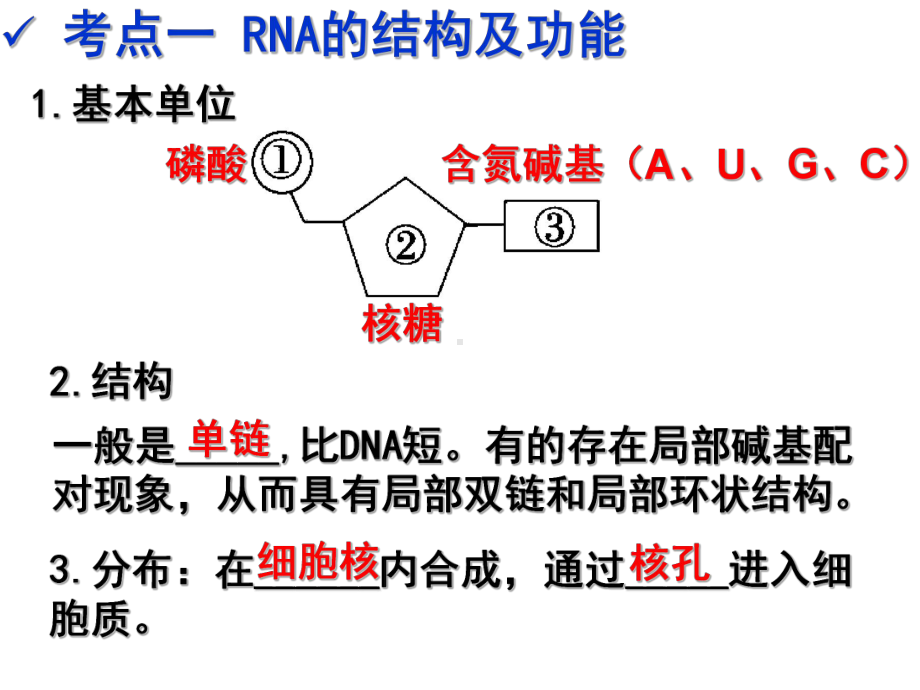 基因的表达(一轮复习)课件.ppt_第2页