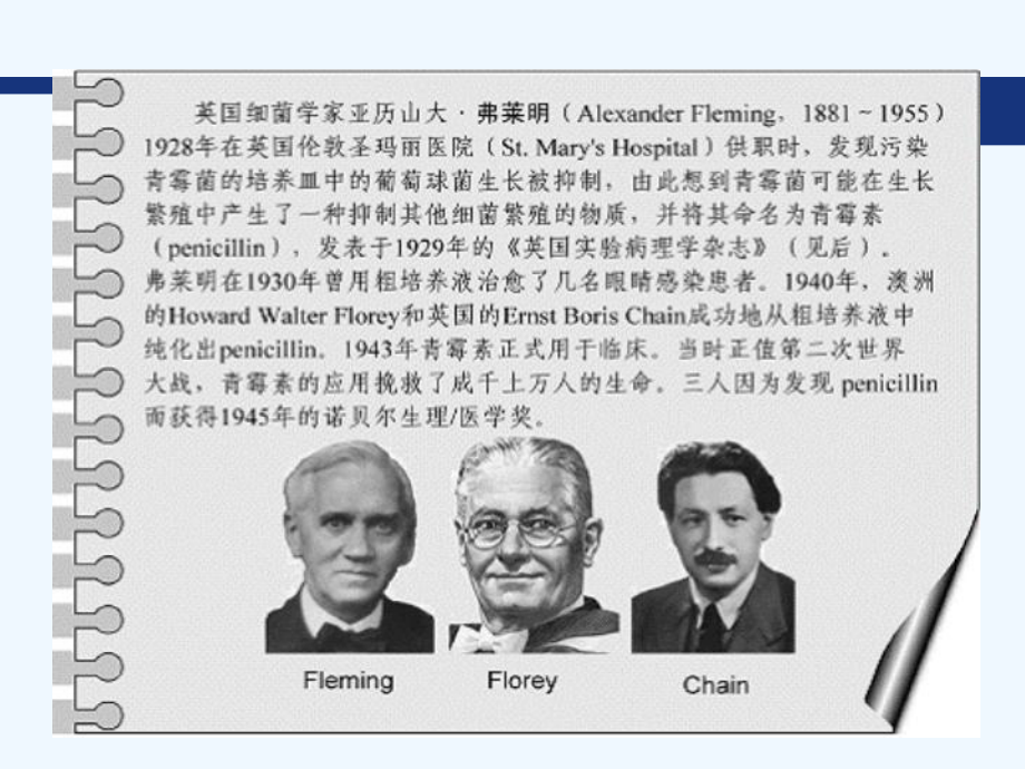 儿童急性呼吸道感染抗生素使用课件.ppt_第3页