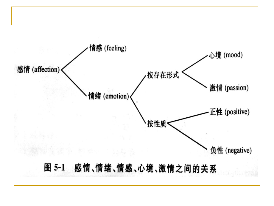 变态心理学第9章课件.ppt_第2页