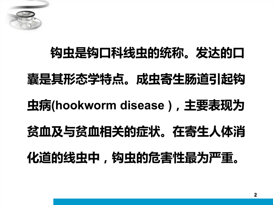 十二指肠钩虫和美洲钩虫课件-2.ppt_第2页