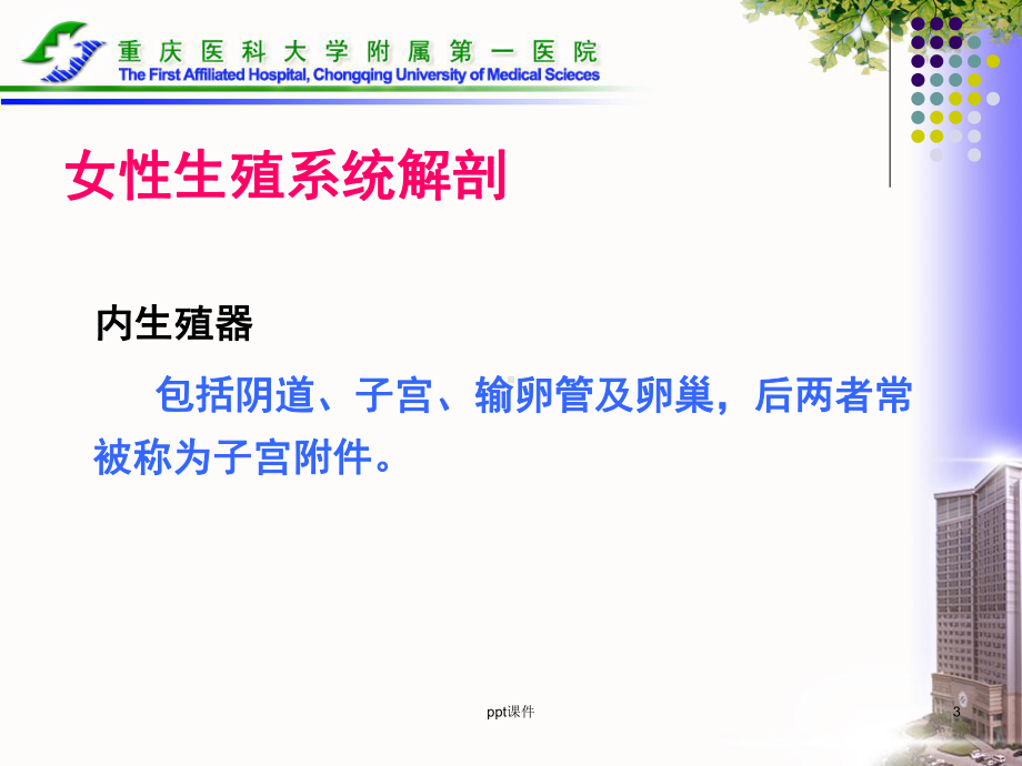 常见宫颈疾病的预防和护理-课件.ppt_第3页