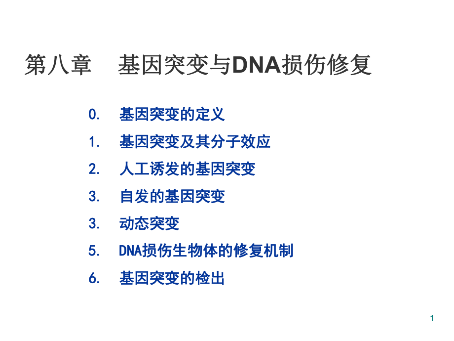 基因突变-DNA损伤与修复课件.ppt_第1页