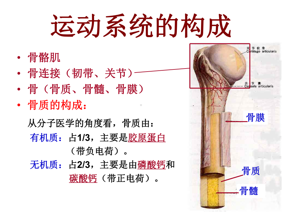 常见病治疗课件.ppt_第3页