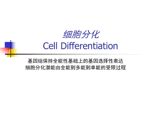 医学细胞生物学9细胞分化课件.ppt