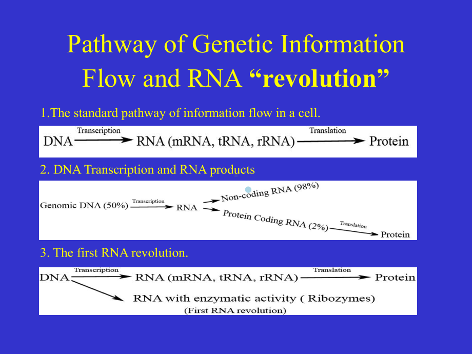 小分子RNA与心血管疾病课件.ppt_第3页