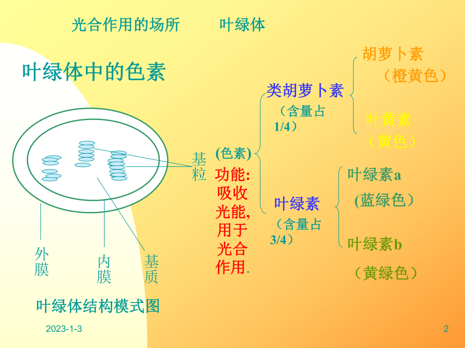 光合作用(二)课件.ppt_第2页