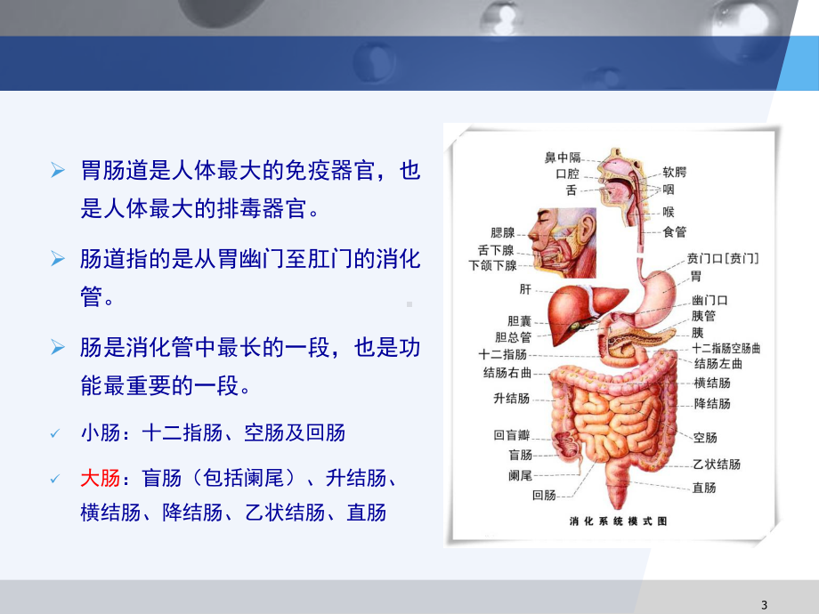 大肠息肉教学课件.ppt_第3页