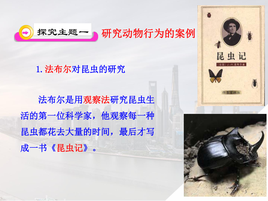 动物行为的研究教学课件.ppt_第3页