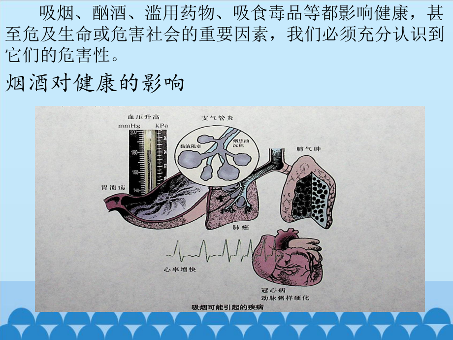 影响健康的因素-课件.pptx_第2页