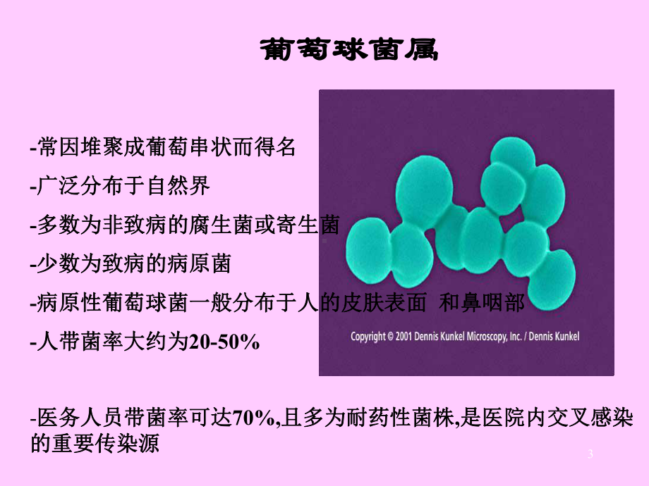 常见致病菌课件.ppt_第3页