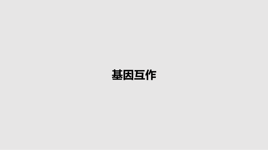 基因互作教案课件.pptx_第1页