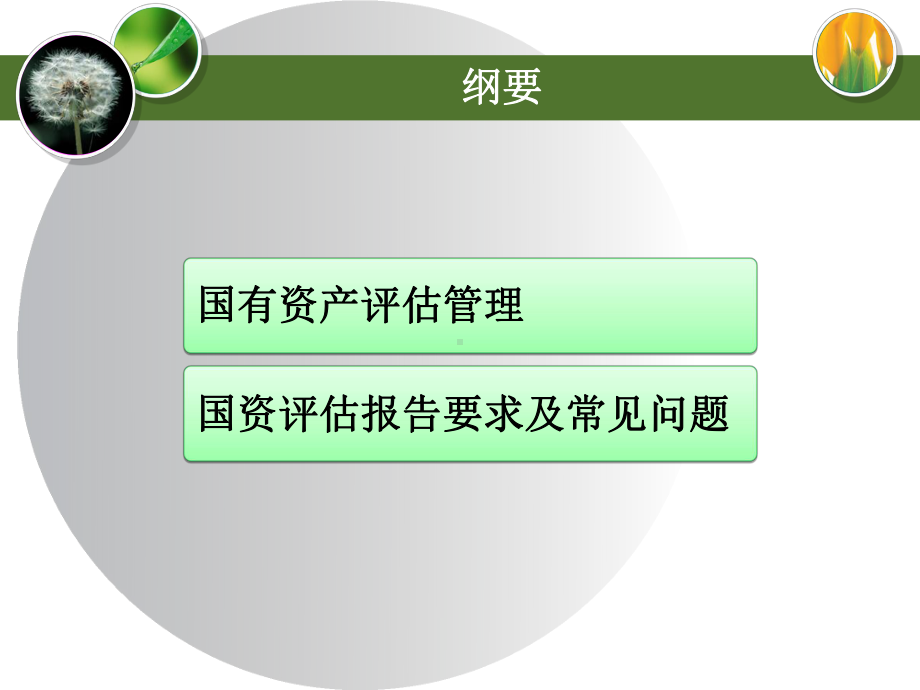 国资委资产评估核准备案要求及评估报告常见问题(-71张)课件.ppt_第2页