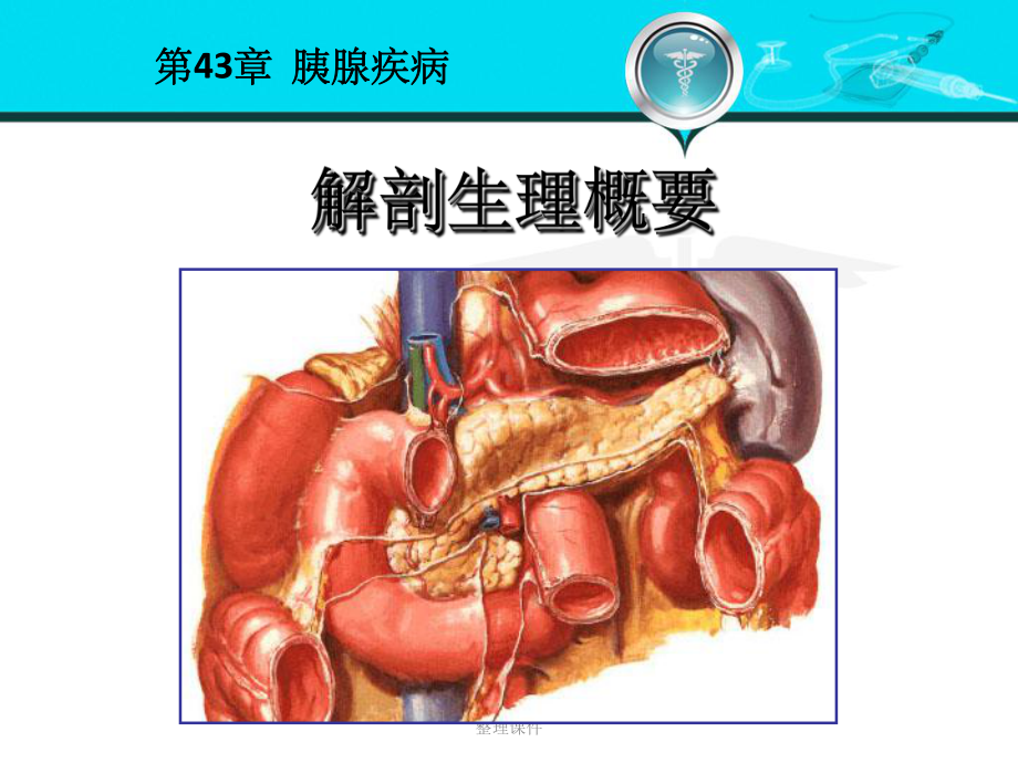 外科学胰腺疾病课件.ppt_第3页