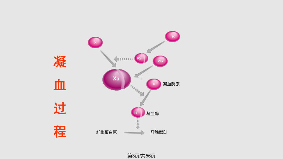 古老的新药华法林课件.pptx_第3页