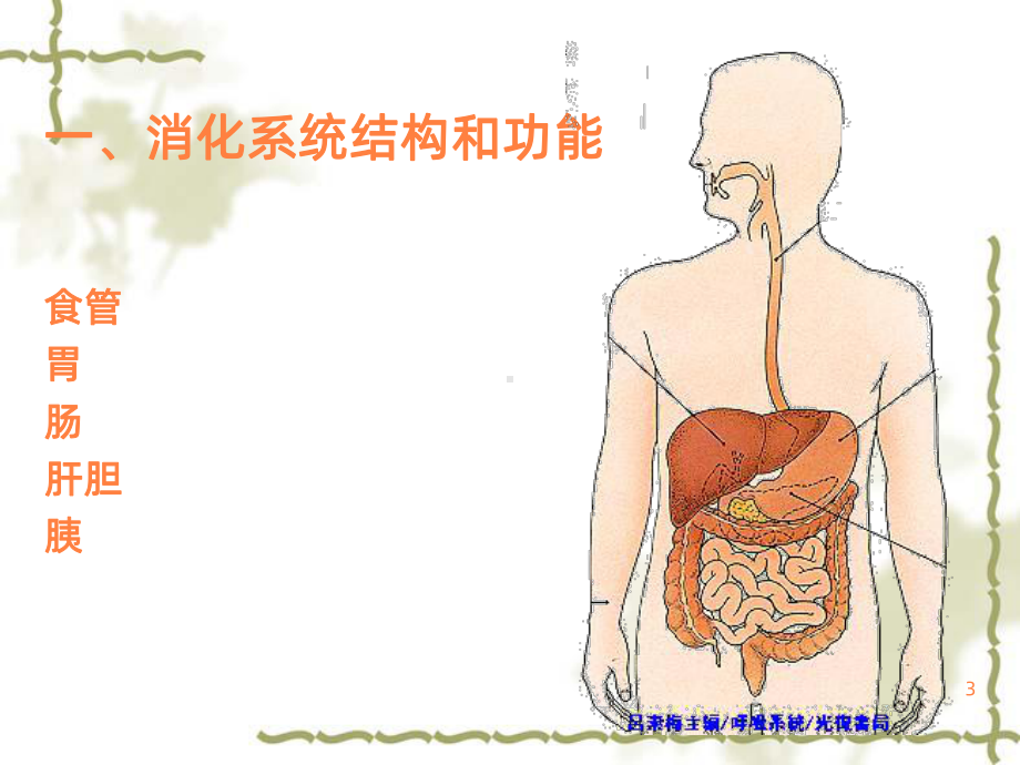 学习课件第一节消化系统疾病概述课件.ppt_第3页