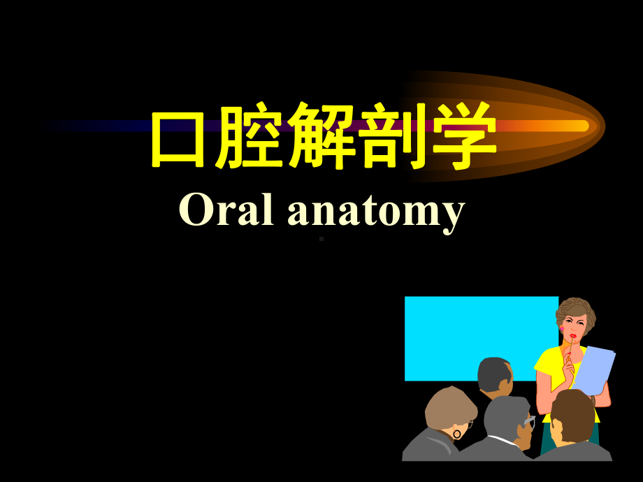 口腔解剖学1课件.ppt_第1页