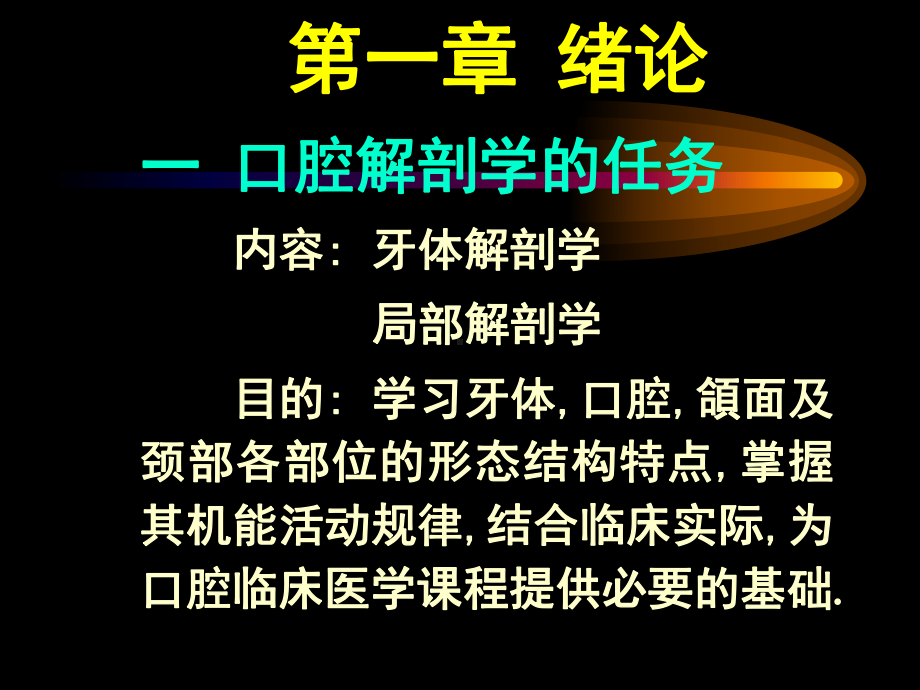 口腔解剖学1课件.ppt_第2页