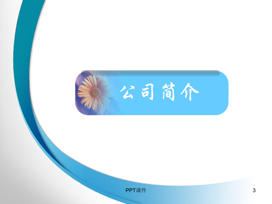 国际筹资之路-案例分析-课件.ppt_第3页