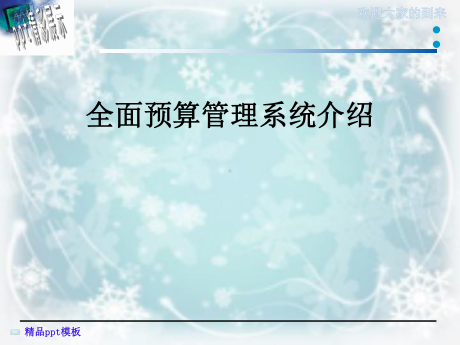 全面预算管理系统介绍课件.ppt_第1页