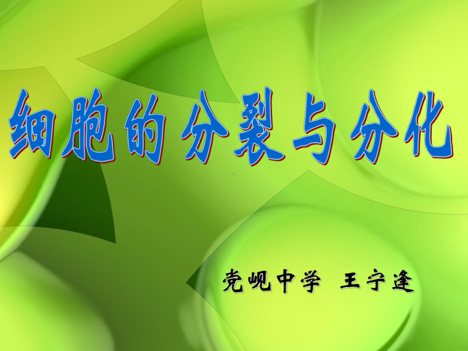 分裂和分化课件.ppt_第1页