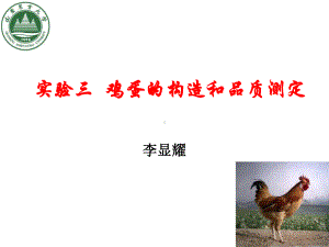 实验三鸡蛋的构造和品质测定课件.ppt