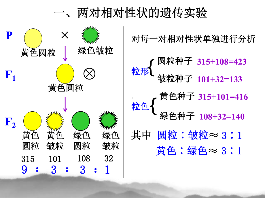 孟德尔的豌豆杂交实验(二)5-人教课标版课件.ppt_第2页