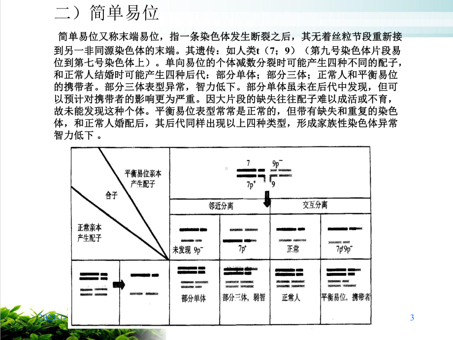 六章染色体易位参考课件.ppt_第3页