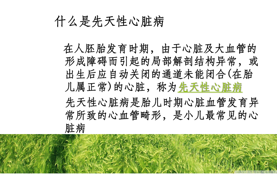 先心病的护理课件.ppt_第2页