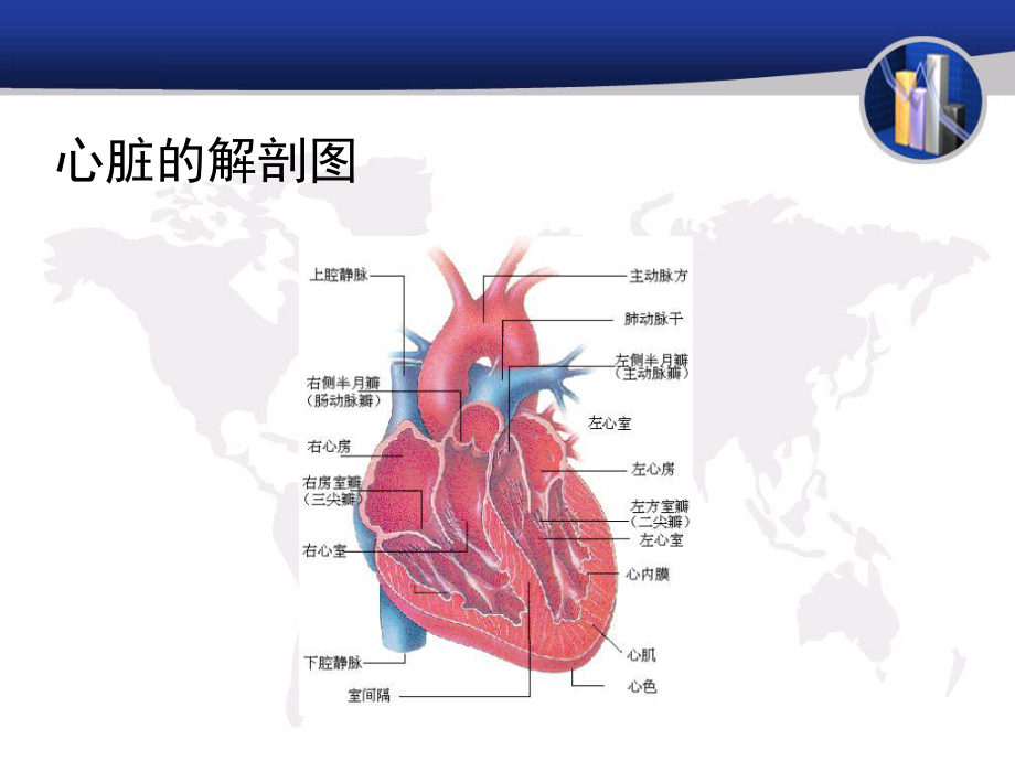 常见的心脏外科疾病简述课件.ppt_第2页