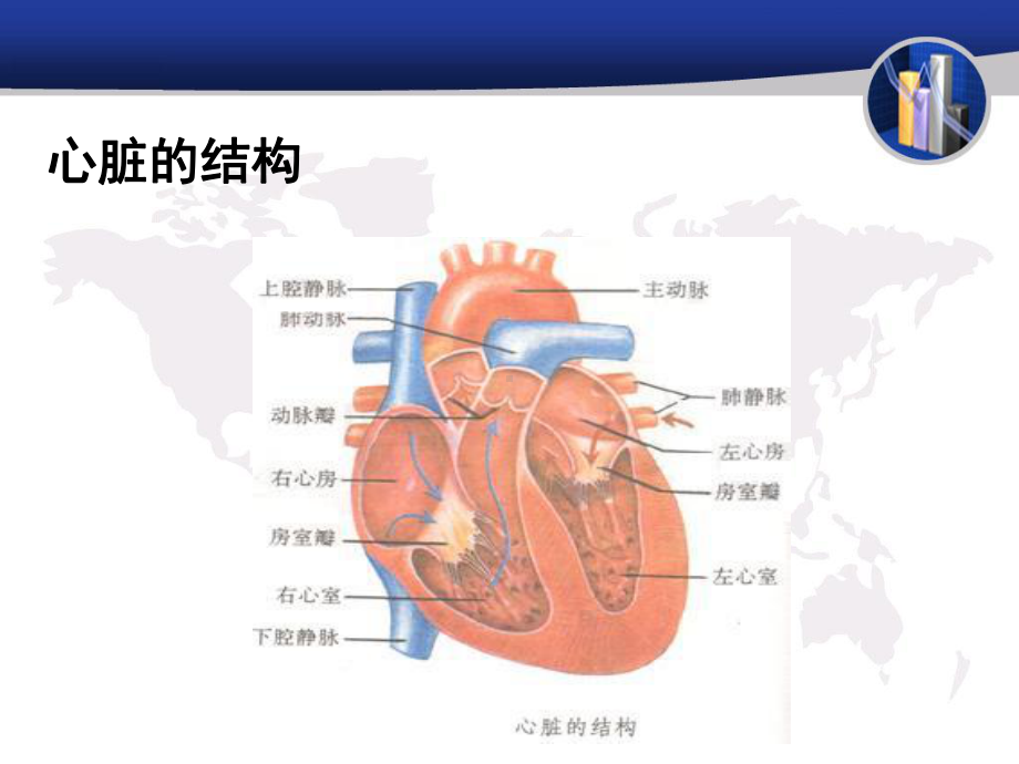 常见的心脏外科疾病简述课件.ppt_第3页